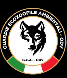 GEA-ODV-Udine-GEA-ODV-Udine-