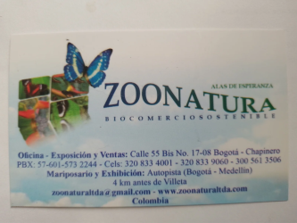 GIOVANNI-CHERUBINI-2