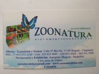 GIOVANNI-CHERUBINIGIOVANNI-CHERUBINI