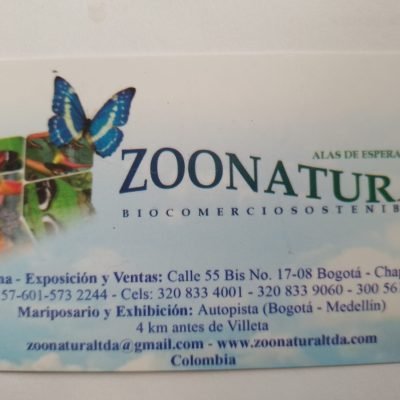 GIOVANNI-CHERUBINIGIOVANNI-CHERUBINI