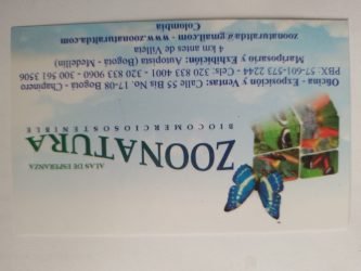 GIOVANNI-CHERUBINIGIOVANNI-CHERUBINI