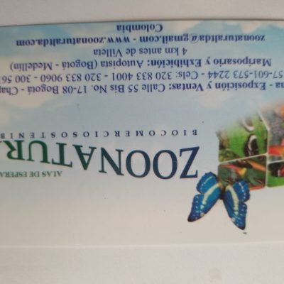 GIOVANNI-CHERUBINIGIOVANNI-CHERUBINI