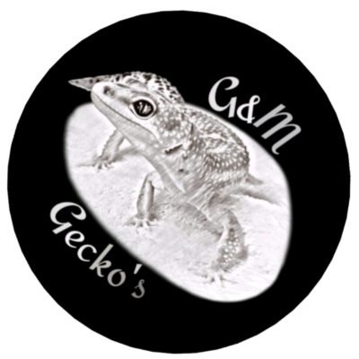 GM-GECKOS