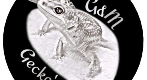 GM-GECKOS