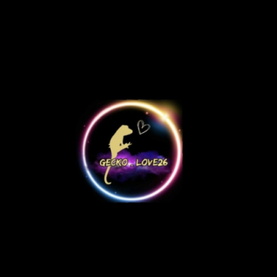 Gecko_love26-1