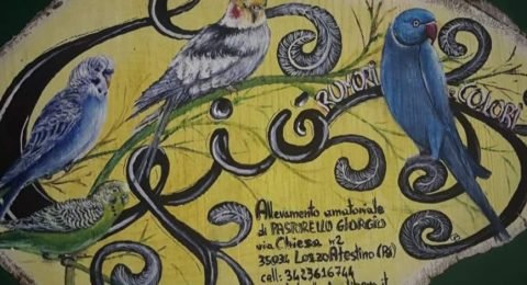 Giorgio-Pastorello-