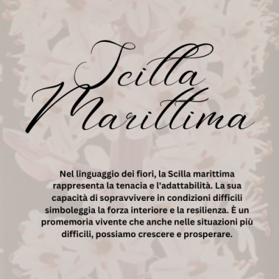 Giovanni-Coletta