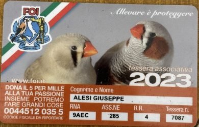 Giuseppe-Alesi-