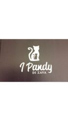 I-pandy-di-zava