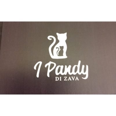 I-pandy-di-zava