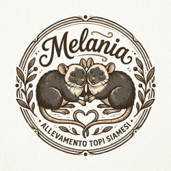 I-ratti-di-Melania