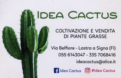 IDEA-CACTUS-di-Leoni-Assuntina
