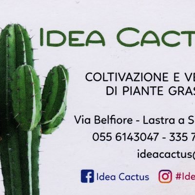 IDEA-CACTUS-di-Leoni-AssuntinaIDEA-CACTUS