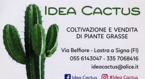 IDEA-CACTUS-di-Leoni-AssuntinaIDEA-CACTUS