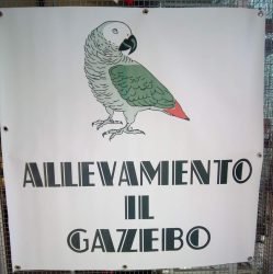 Il-Gazebo