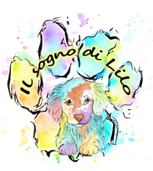 Il-sogno-di-Lilo-di-S.-A.Il-sogno-di-Lilo-di-S.-A
