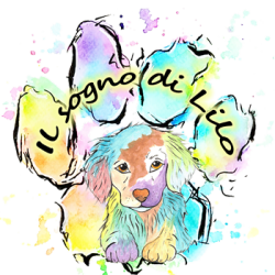 Il-sogno-di-Lilo-di-S.-A.Il-sogno-di-Lilo-di-S.-A