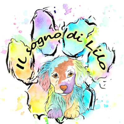 Il-sogno-di-Lilo-di-S.-A.Il-sogno-di-Lilo-di-S.-A