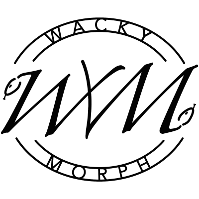 Immagine-PNG.png