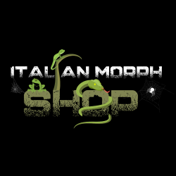 Ims-di-concili-pietroItalian-morph-shop