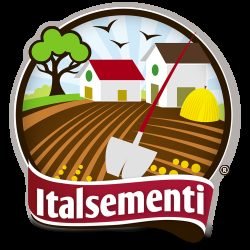 Italsementi-s.n.c