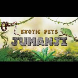 Jumanji-Di-Gallo-Domenico-Jumanji-