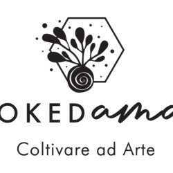 KokedAMA