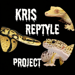 Kris-reptyle-project