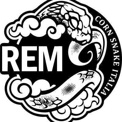 LOGO-3.png