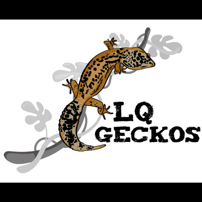 LQ-Geckos
