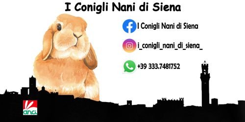 Leonardo-Poggialini--1