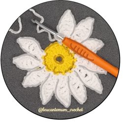 Leucanthemum-crochet-