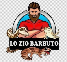 LoZioBarbuto