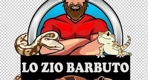 LoZioBarbuto