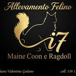 Logo-i-7-1.jpg
