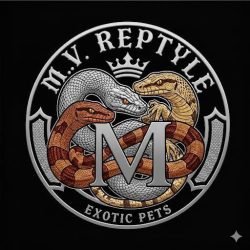 M.V-REPTYLE-
