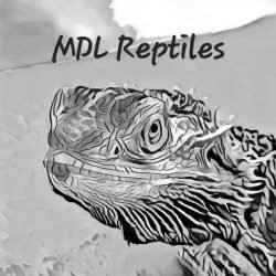MDL-Reptiles
