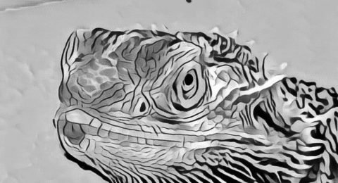 MDL-Reptiles