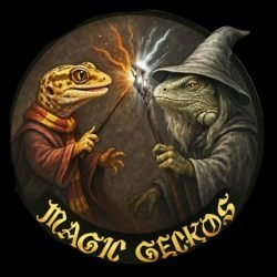 Magic-Geckos