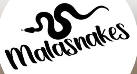 Malasnakes-