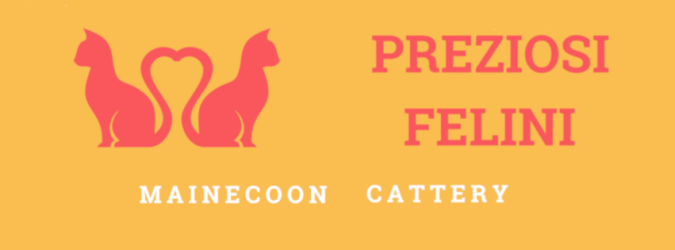 Maria Barbara-Di- Noto