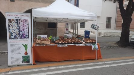 MarikaMarika-lapaine-azienda-agricola