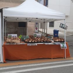 MarikaMarika-lapaine-azienda-agricola