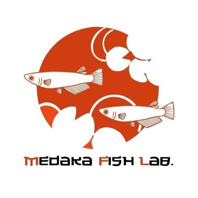 Medaka-fish-lab