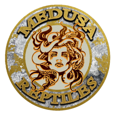 Medusa-Reptiles