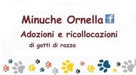 Minuche-Ornella