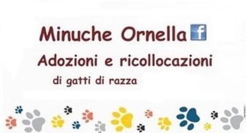 Minuche-Ornella