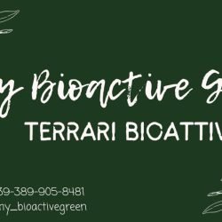 Mybioactivegreen