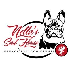 Nellas-Soul-House-di-Gianpiero-Boccioli-Nellas-Soul-House-di-Gianpiero-Boccioli-