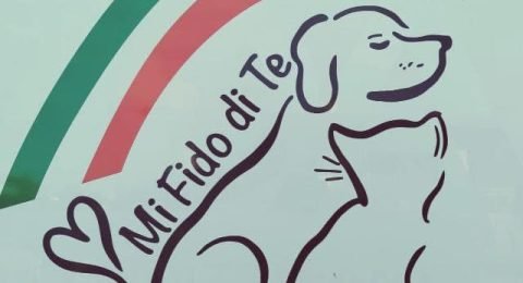 Nicola-Dagostino